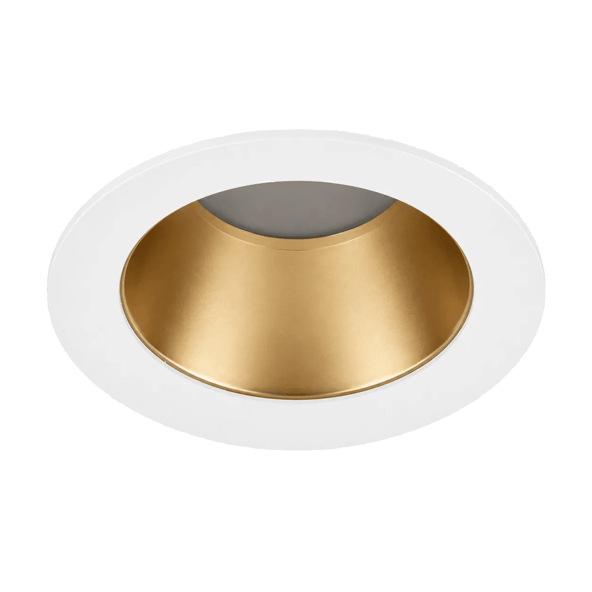 Citterio Adjustable Tilt Downlight - Matt Gold/ White