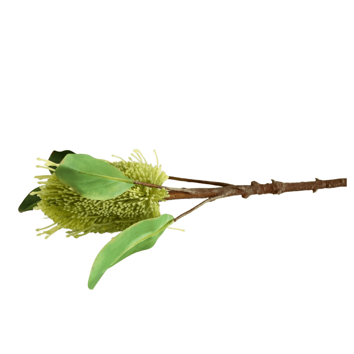Artificial Flower - Green Pincushion