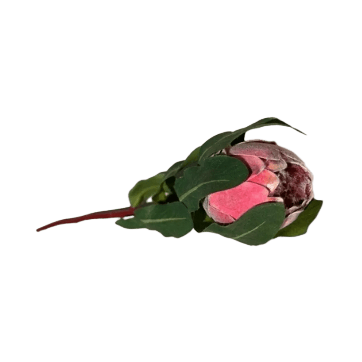Artificial Flower - Pink Protea 46cm