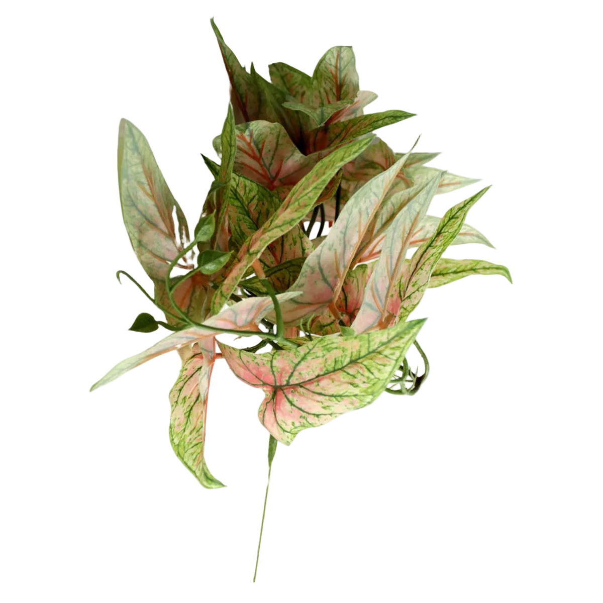 Artificial Leaf Branch - Red & Green Chinese Evergreen