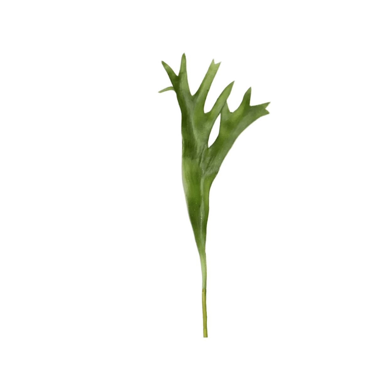 Artificial Leaf - Elkhorn Fern