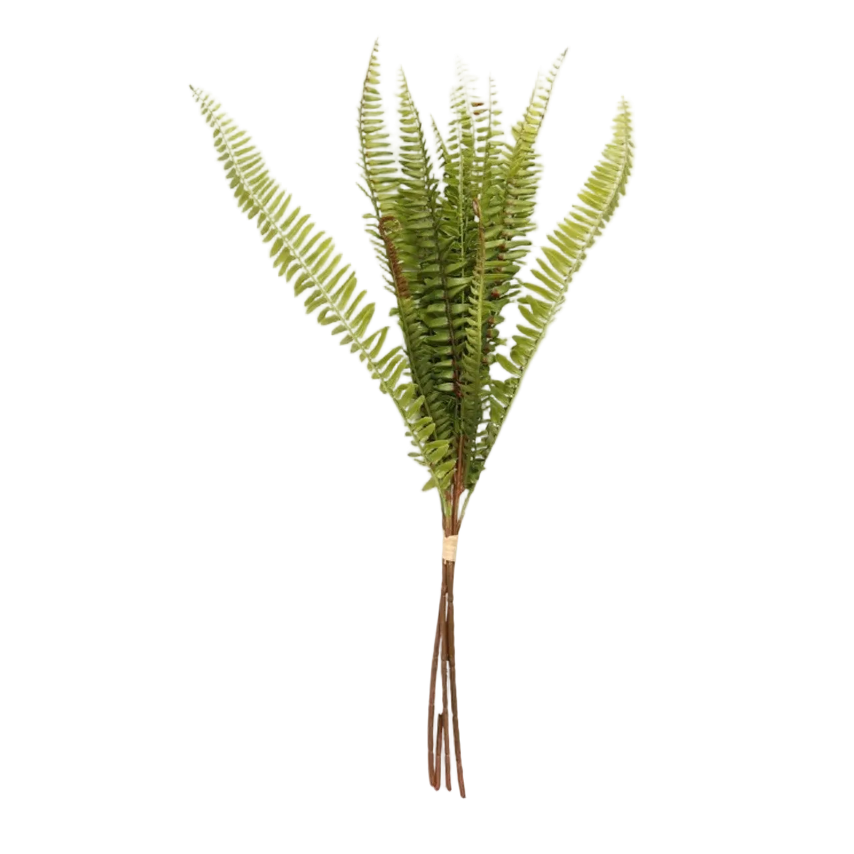 Artificial Leaf - Light Green Narrow Sword Fern