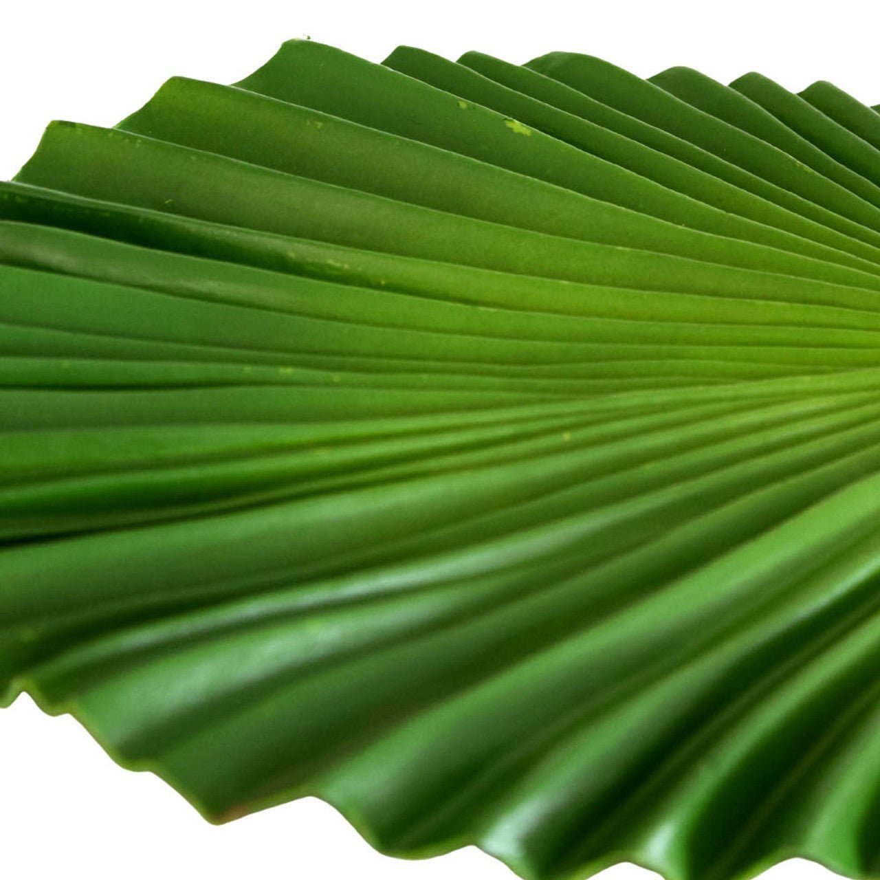 Artificial Leaf - Wavy Palm Leaf - Future Decor