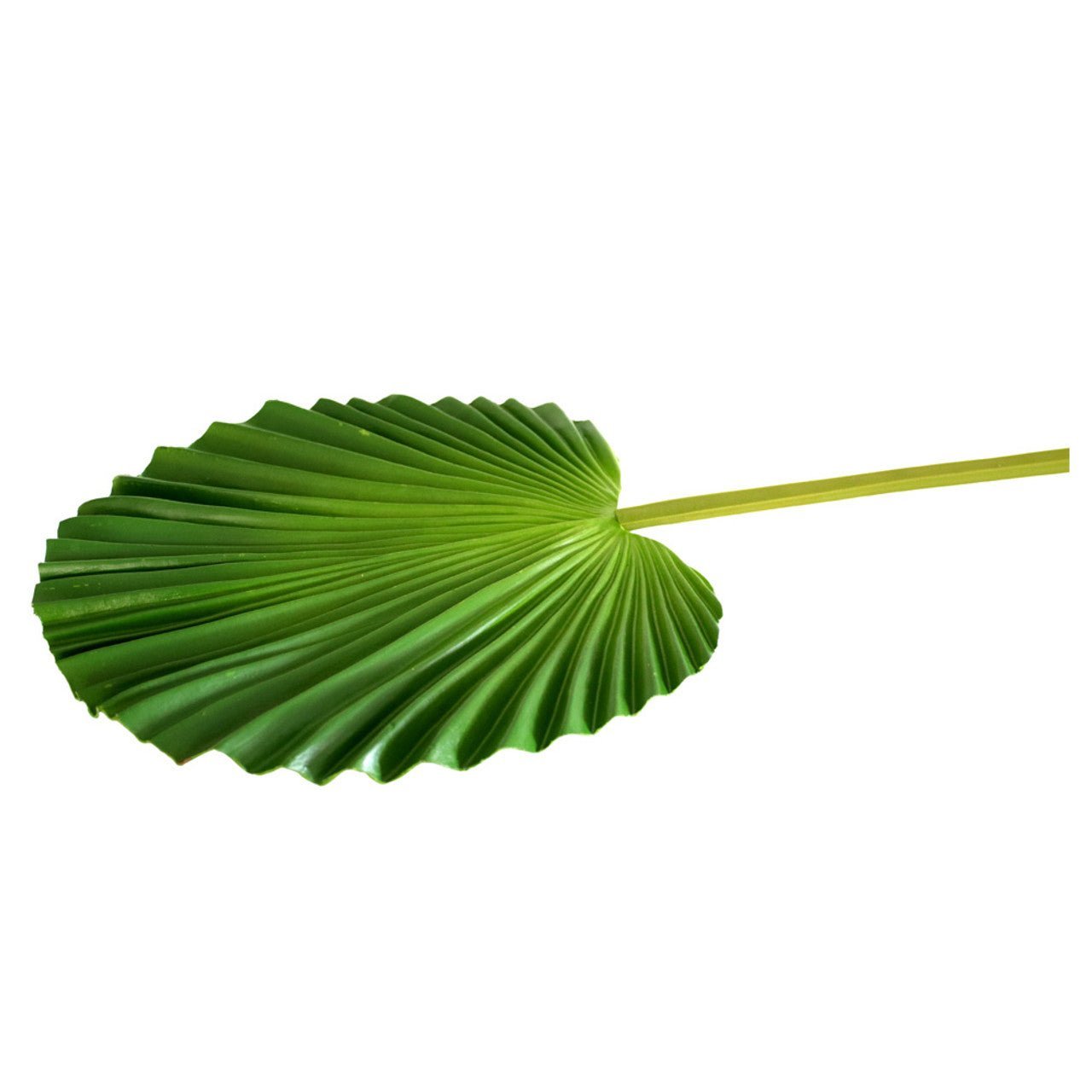 Artificial Leaf - Wavy Palm Leaf - Future Decor
