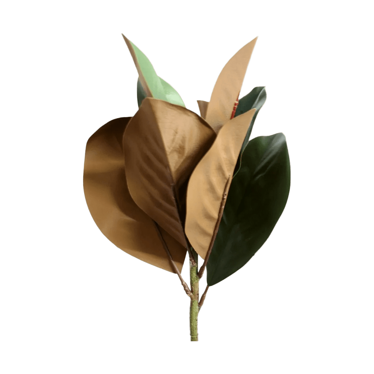Artificial Leaves Branch - Brown & Green Magnolia