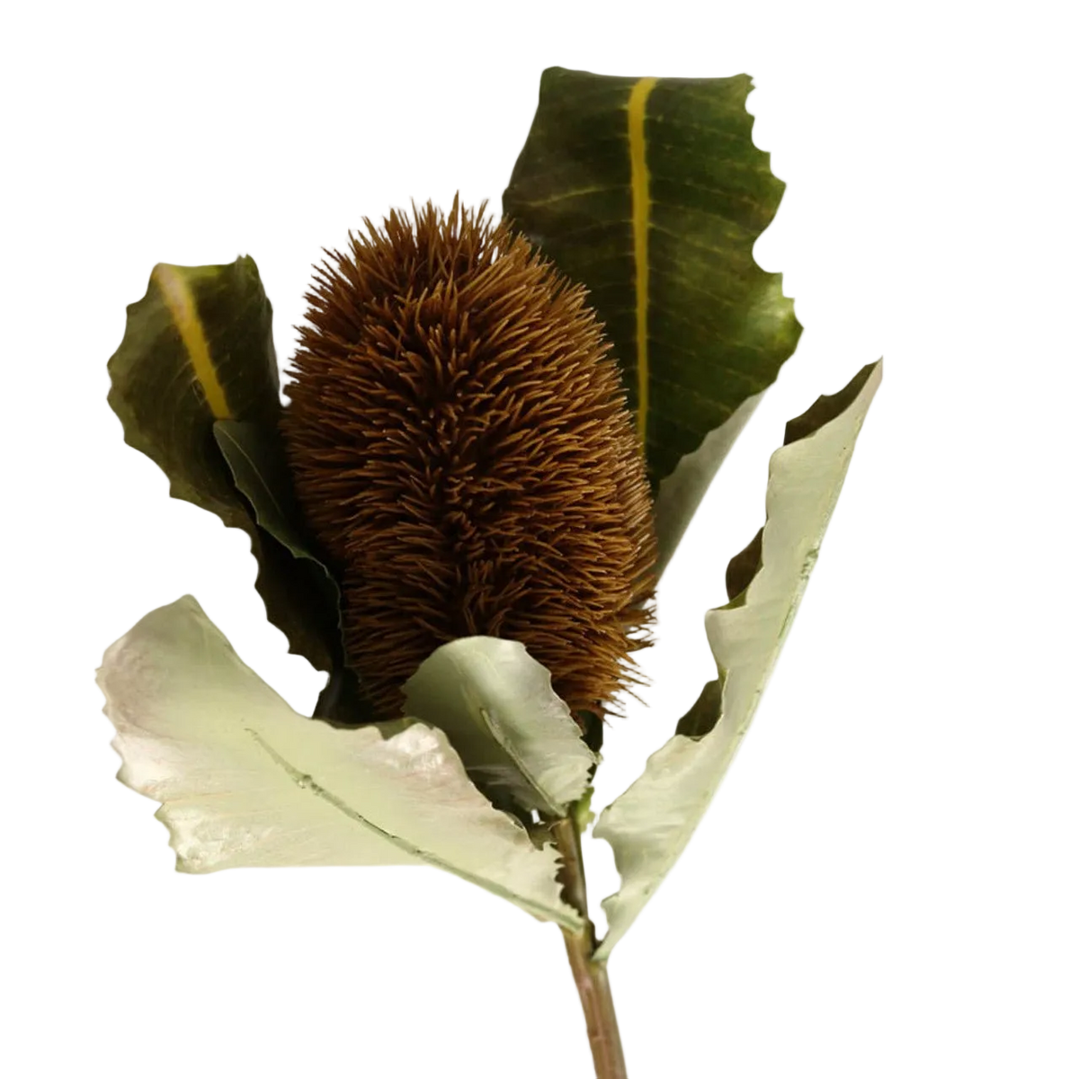 Artificial Plant - Macadamia