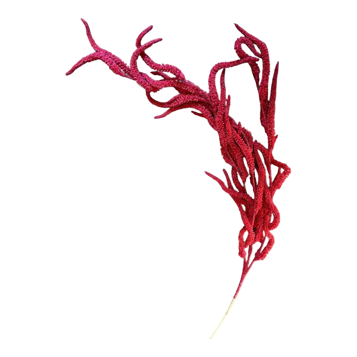 Artificial Plant - Red Seeds
