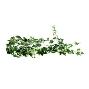 Artificial String Of Leaves - Two Tone Green Ivy - Future Decor