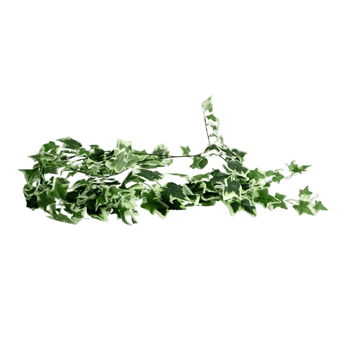 Artificial String Of Leaves - Two Tone Green Ivy