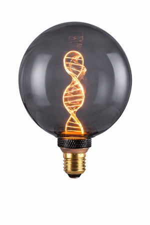 Decorative LED bulb with DNA-style filament glowing warmly inside a clear glass globe.