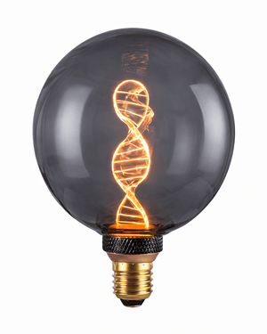 Decorative light bulb with spiral filament on a white background