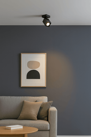 Square matt black spotlight mounted on ceiling, illuminating artwork above a cozy sofa.