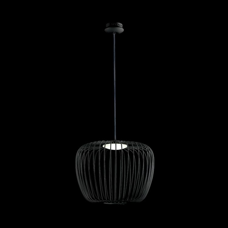 Black Apple LED Wire Pendant Light