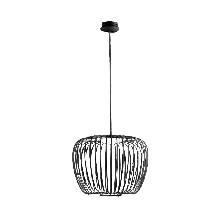 Black Apple LED Wire Pendant Light