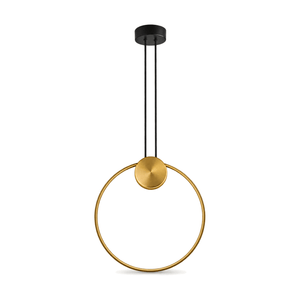 Black and gold LED pendant light on white background