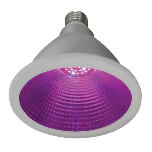 LED grow light over indoor plants