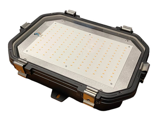 Titan Industrial LED Bulkhead - 5 Year