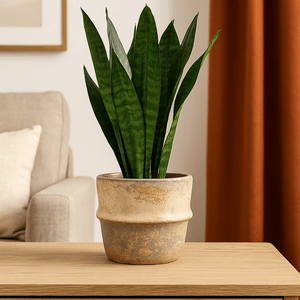 Ceramic Pot - Rustic Beige Colours - Future Decor