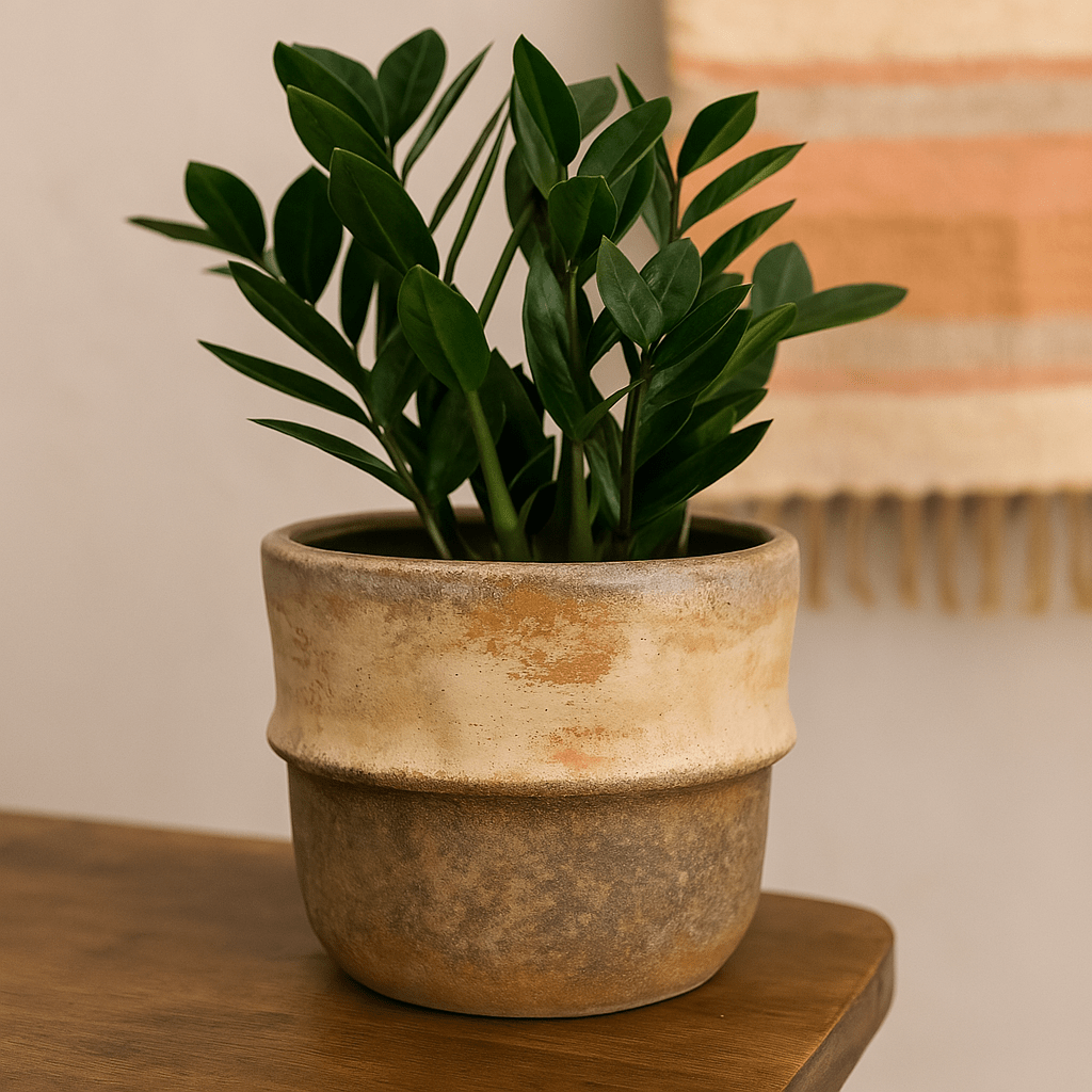 Ceramic Pot - Rustic Beige Colours - Future Decor