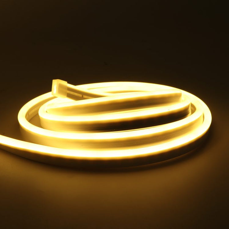 Pro Neon Flex - 24VDC - Future Light - LED Lights South Africa