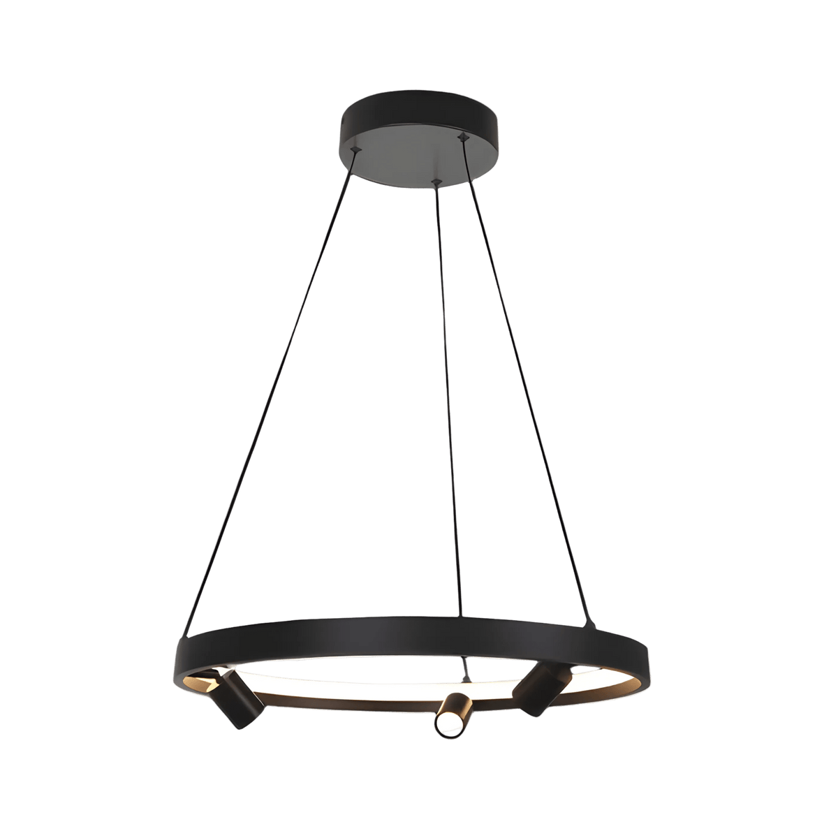 Ethan LED Ring Pendant Light