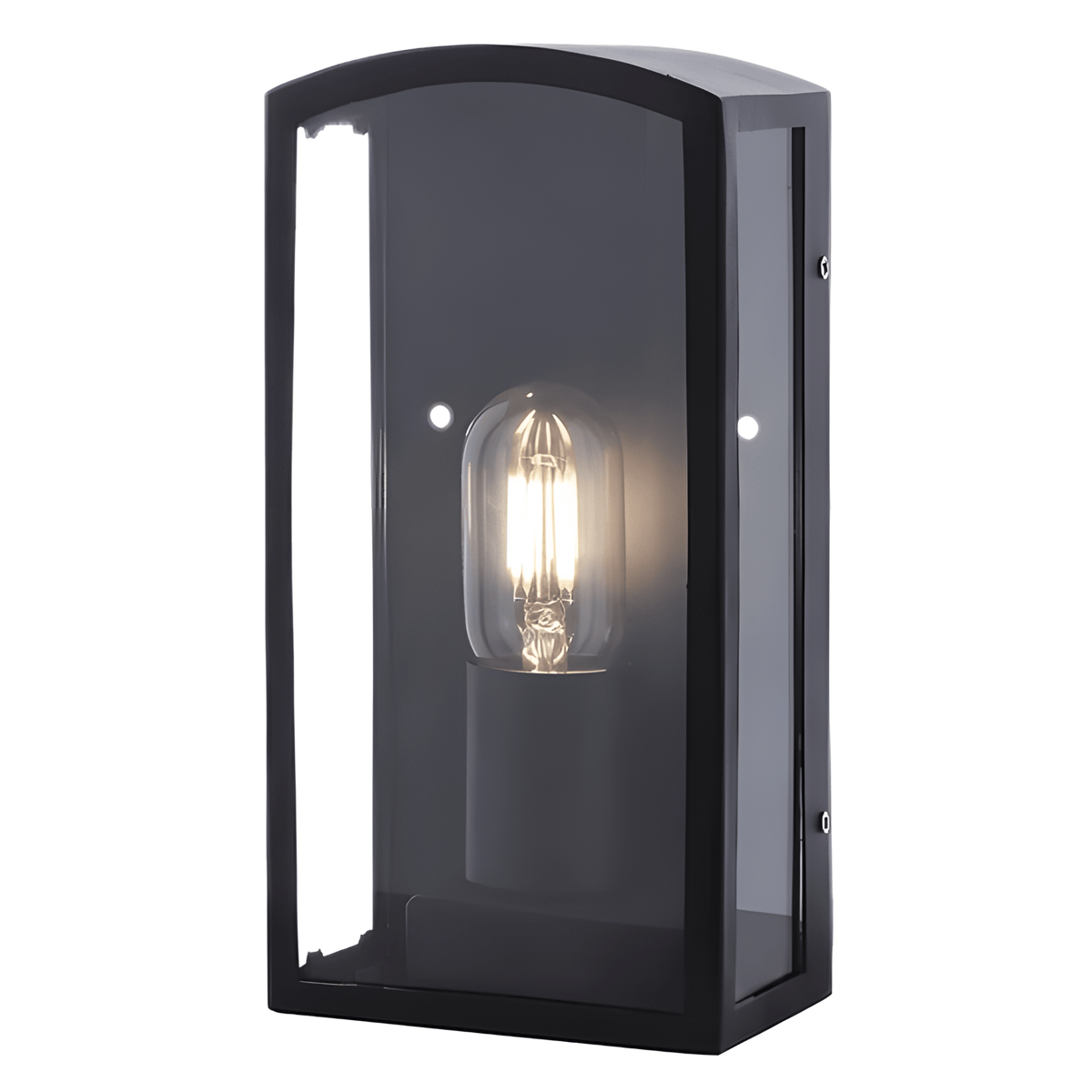 Matte black outdoor wall light with clear glass housing and illuminated E27 bulb