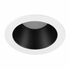 Citterio Adjustable Tilt Downlight - Black / White