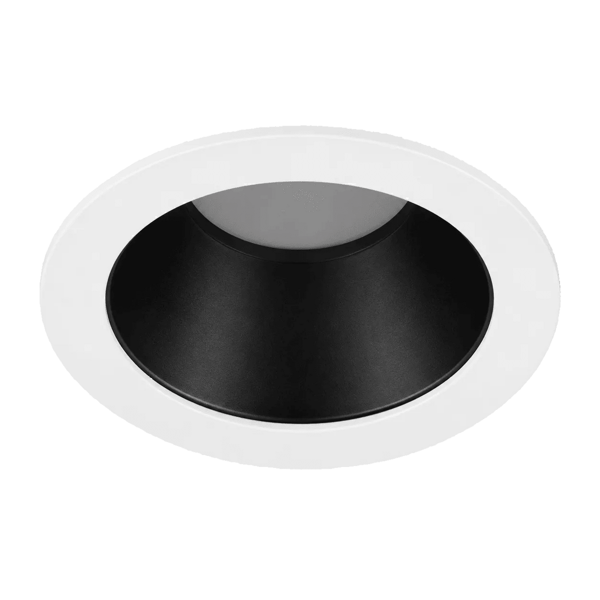 Citterio Adjustable Tilt Downlight - Black / White