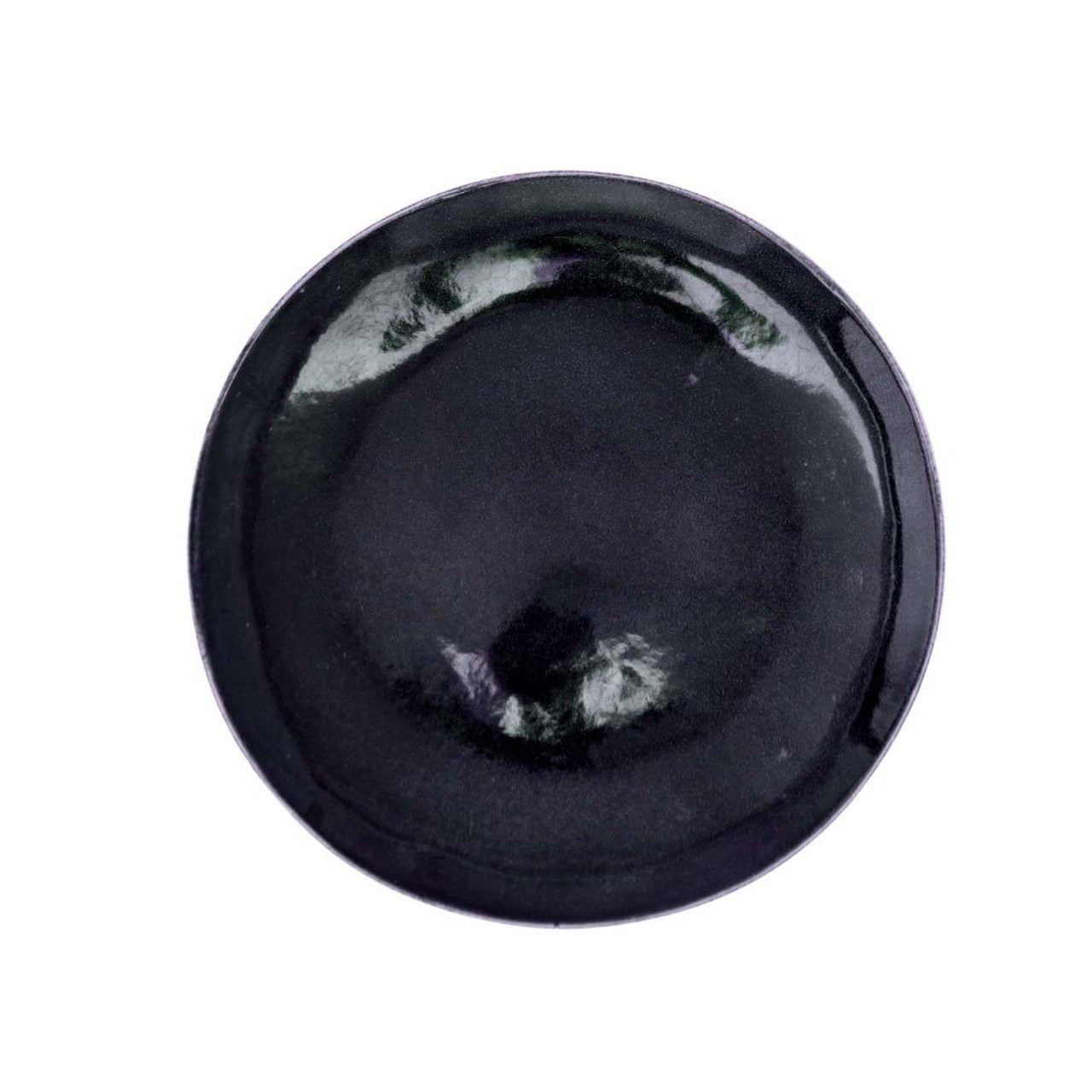 Elegant Black Ceramic Dinner Plate 27cm - Future Decor