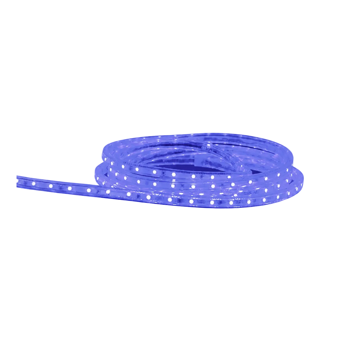 A coiled LED strip light with a clear casing and evenly spaced white lights, displayed against a black background.