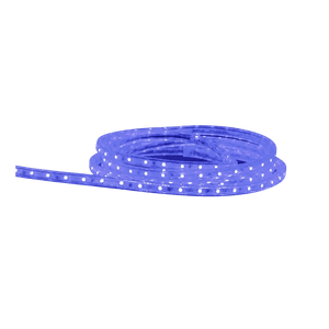 A coiled LED strip light with a clear casing and evenly spaced white lights, displayed against a black background.