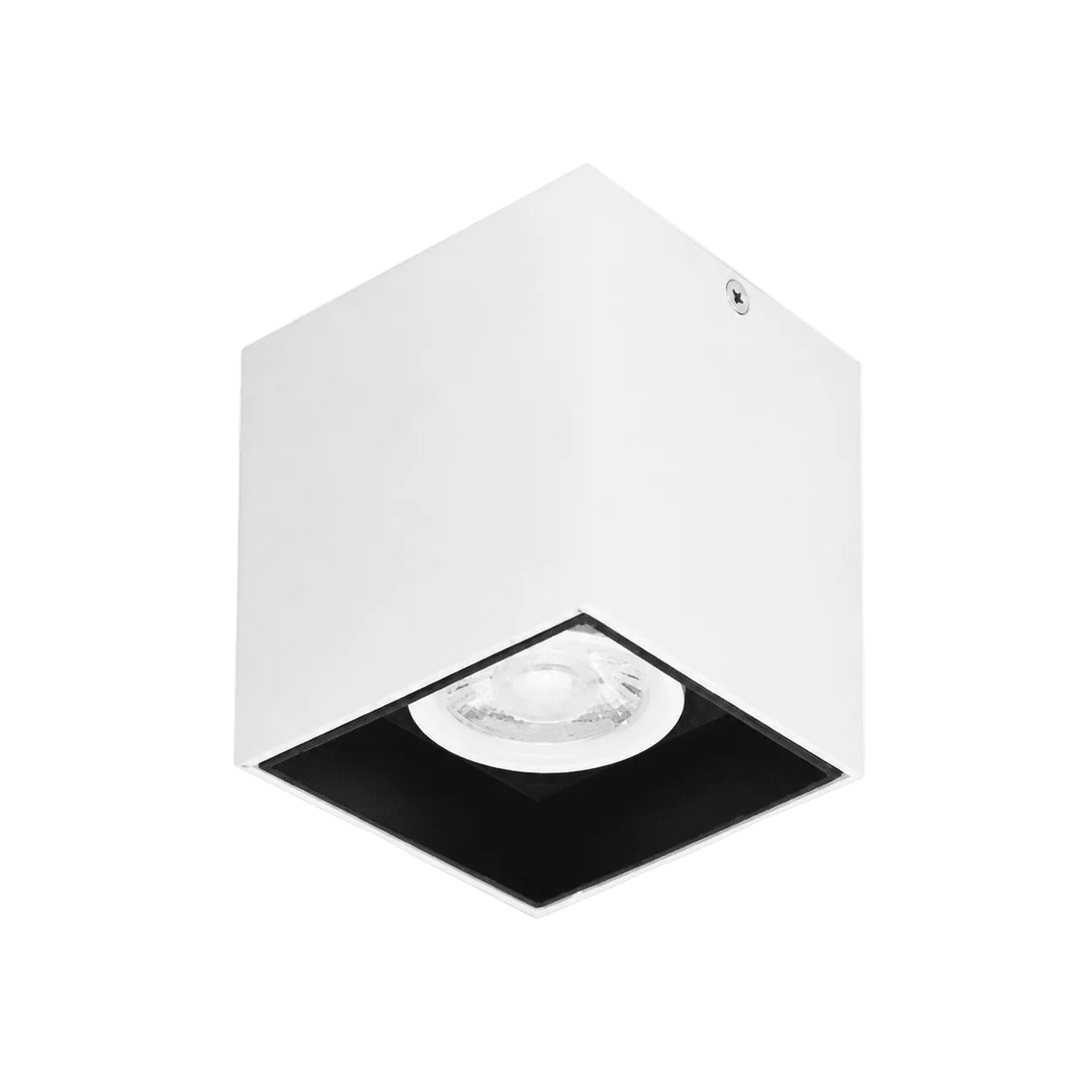 White & Black Insert Surface-Mounted GU10 Downlight