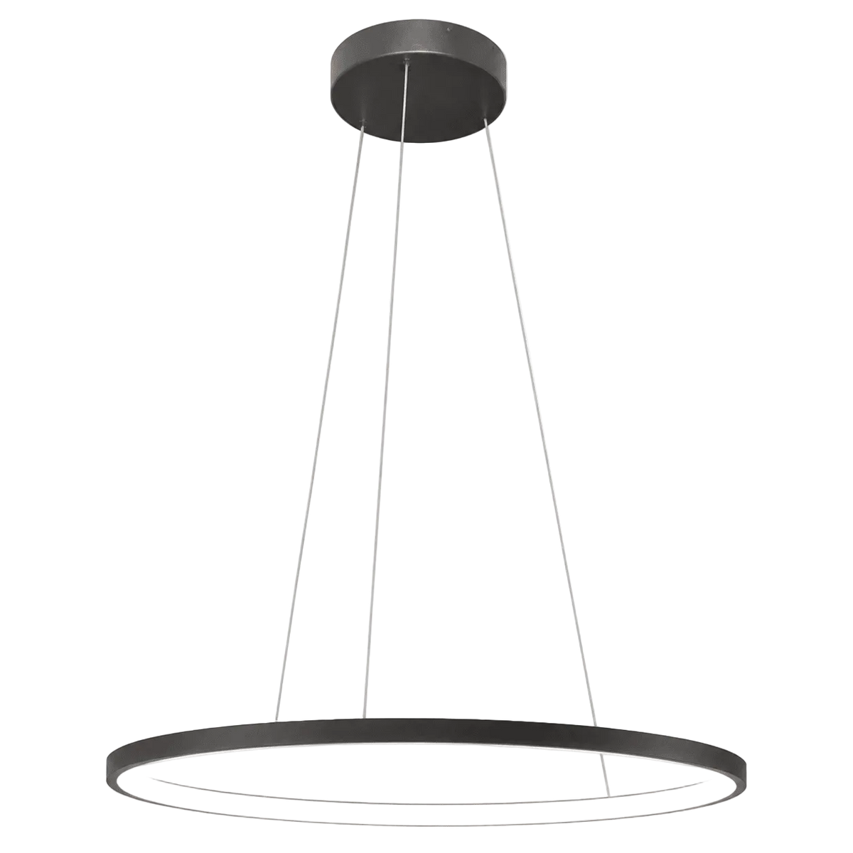 29W Warm White 80cm Black Ring Pendant Light