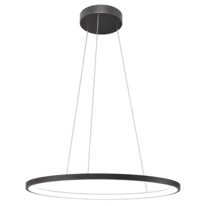 29W Warm White 80cm Black Ring Pendant Light