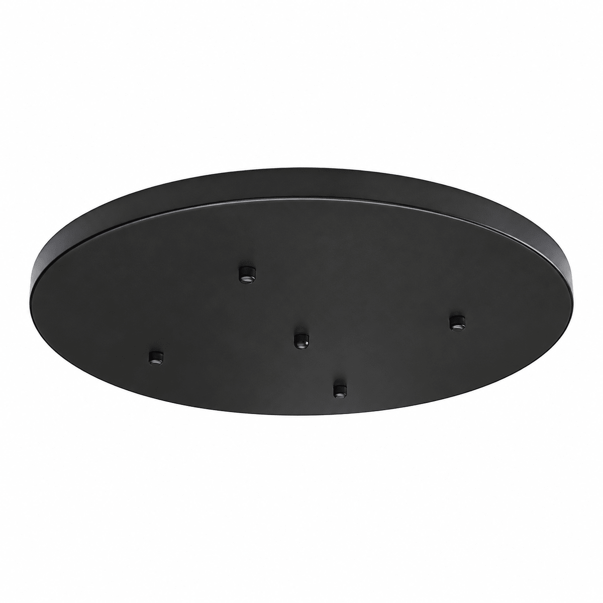 Indoor Ceiling Light Plate - Black / 50cm