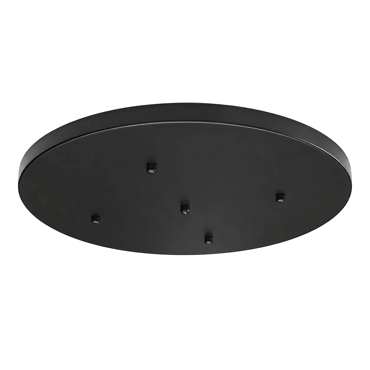 Indoor Ceiling Light Plate - Black / 50cm