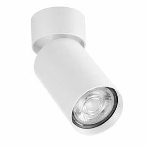 Kaapstad White Adjustable Surface Mounted Spotlight