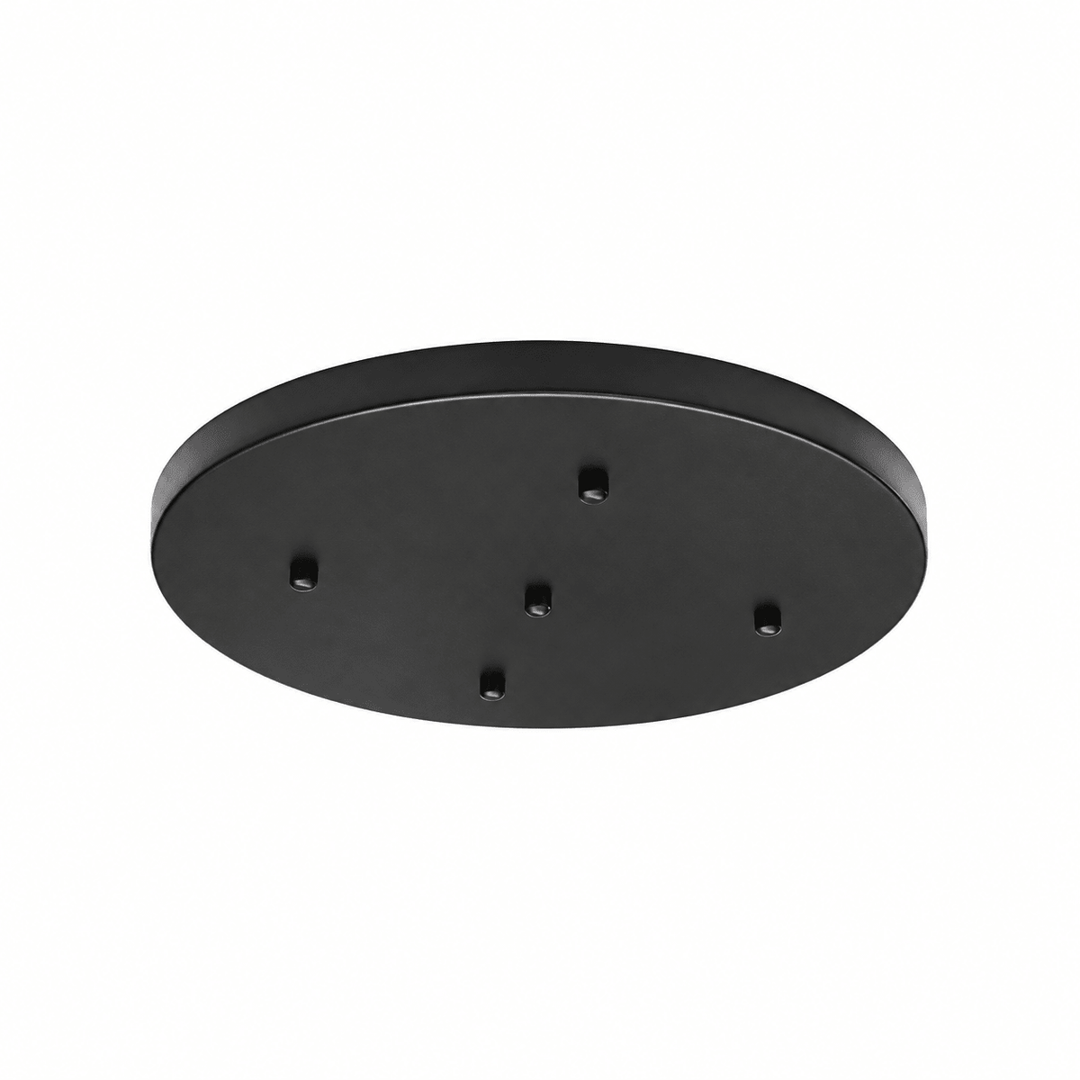 Indoor Ceiling Light Plate - Black / 40cm