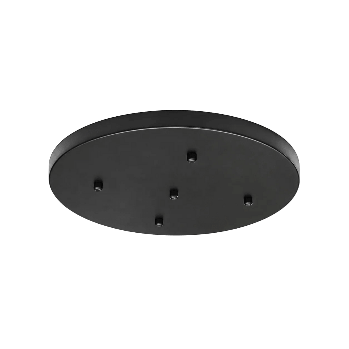Indoor Ceiling Light Plate - Black / 40cm