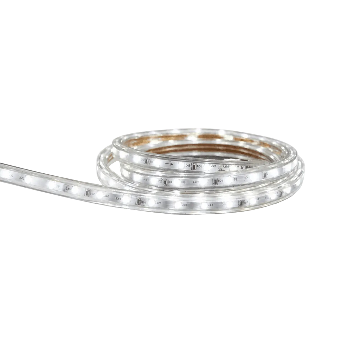 A coiled LED strip light with a clear casing, emitting cool white light, showcasing evenly spaced light-emitting diodes.