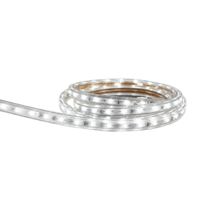 A coiled LED strip light with a clear casing, emitting cool white light, showcasing evenly spaced light-emitting diodes.