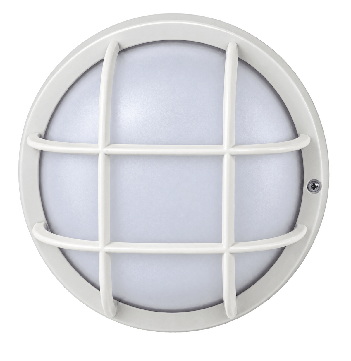 White round bulkhead light with frosted diffuser and protective grille