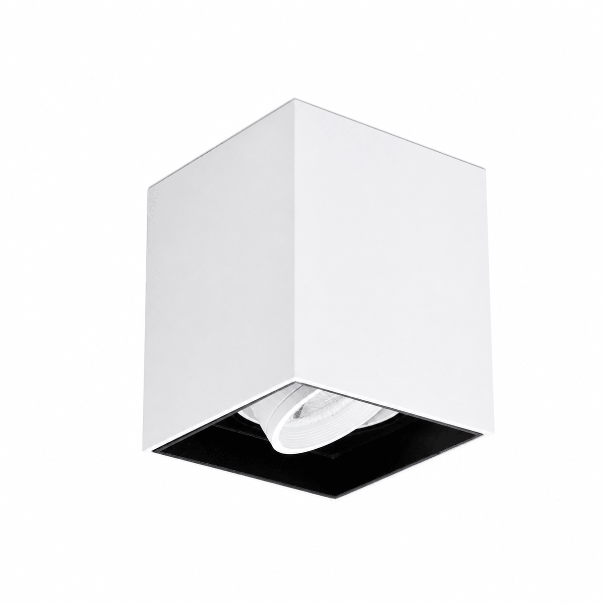 Modern white surface mount downlight with adjustable 30° tilt for focused illumination.