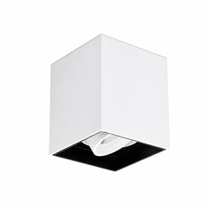 Modern white surface mount downlight with adjustable 30° tilt for focused illumination.