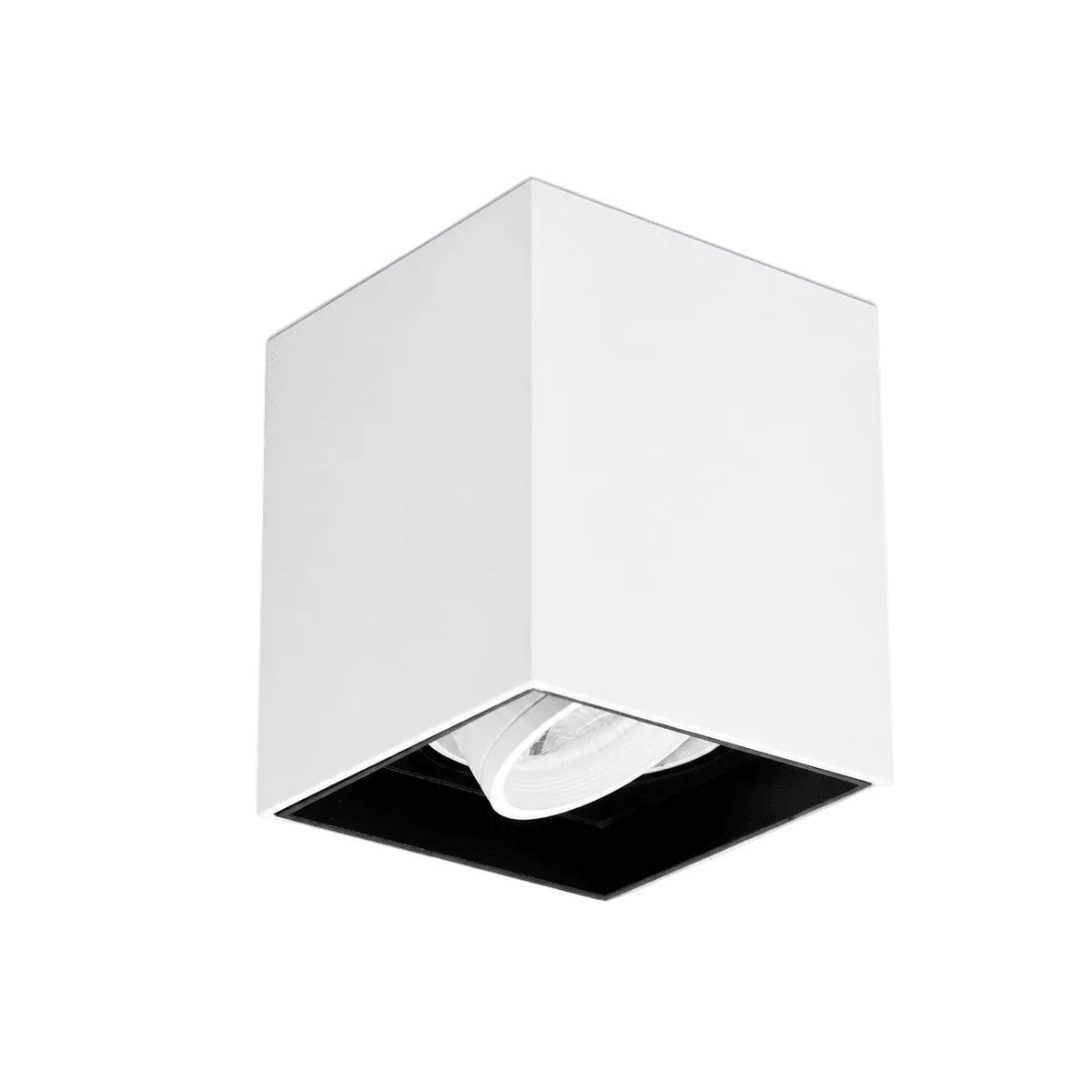 Lone Tilt White Surface Mount Down Light - 1 Light