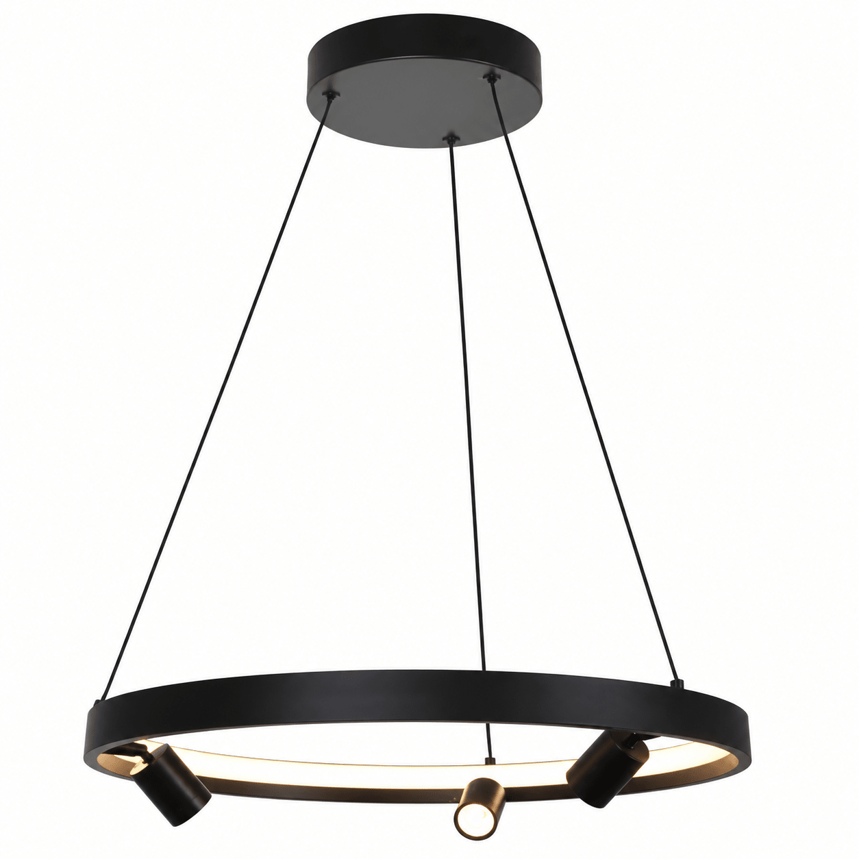 Douglas Ring LED Pendant Light