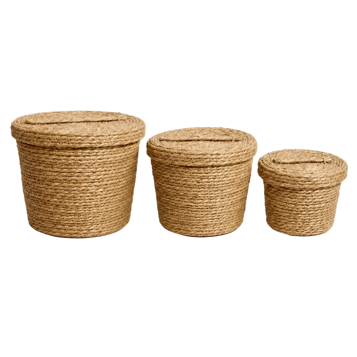 Round Woven Storage Basket Set of 3 with Lids