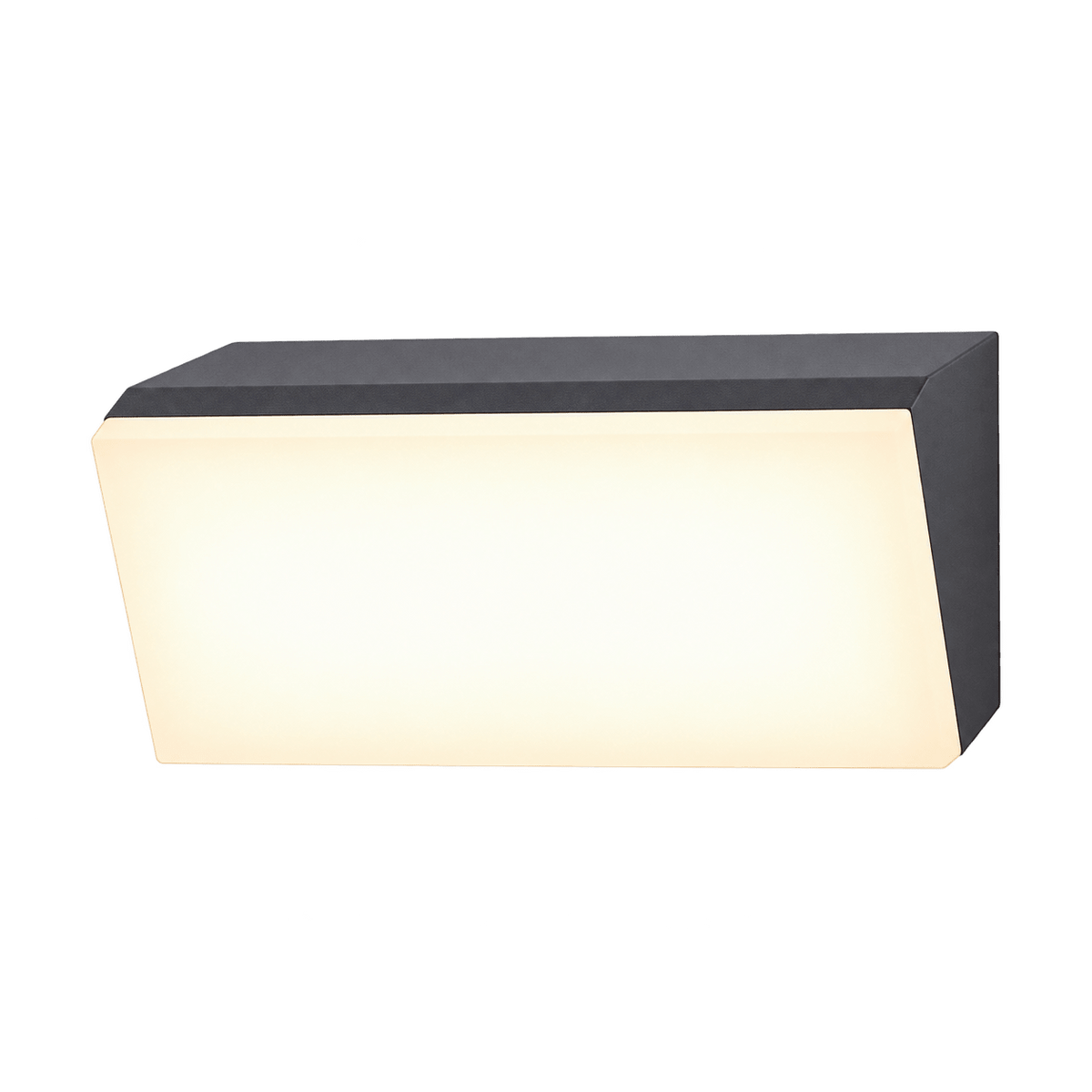 Transparent cutout of the LED rectangle bulkhead wall light