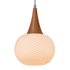 210mm Frosted Glass & Wood Pendant Light