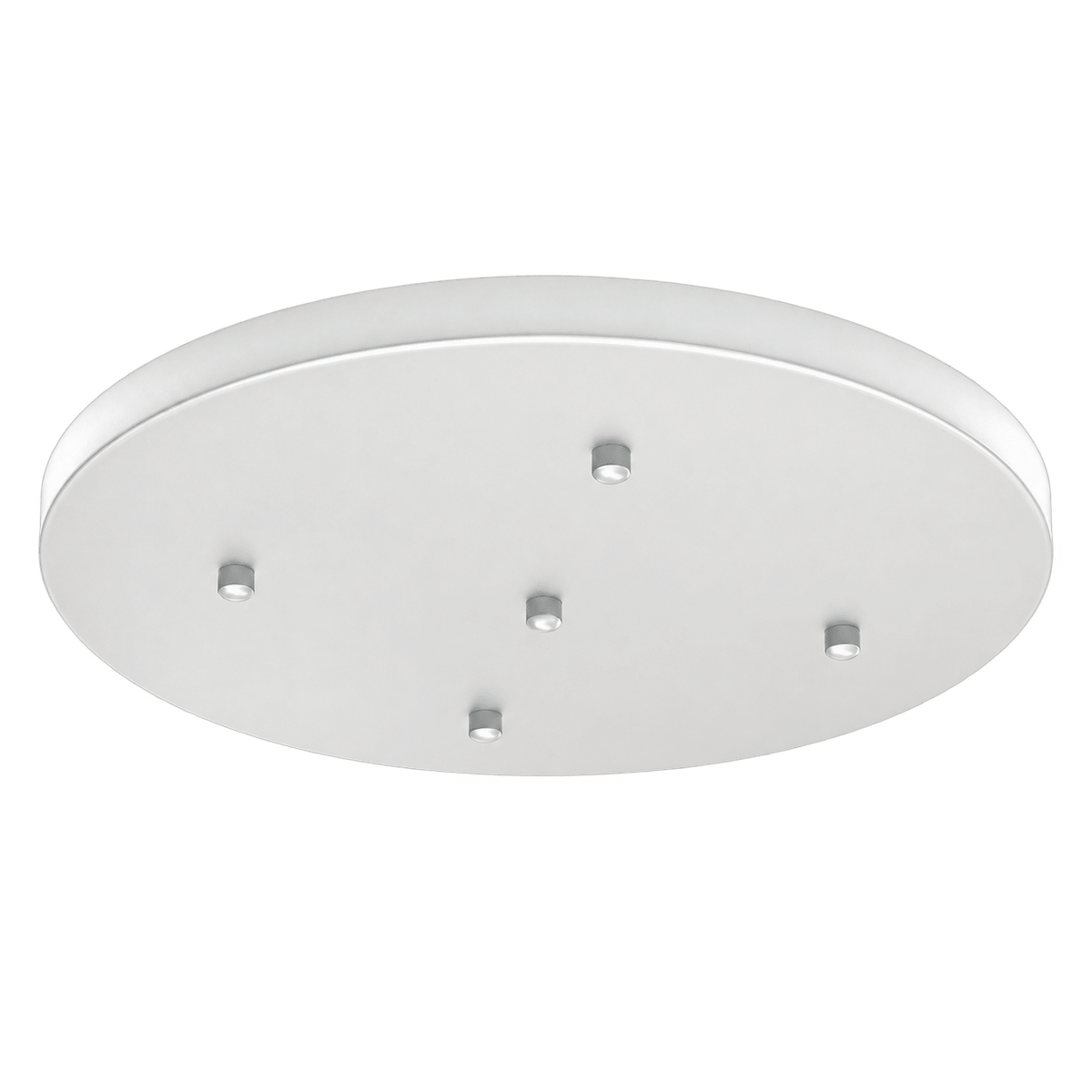 Indoor Ceiling Light Plate - White / 40cm